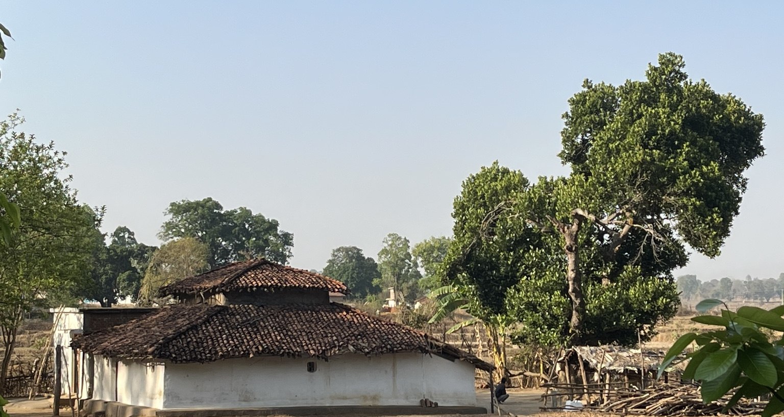 A village setting in the Bandhavgarh landscape